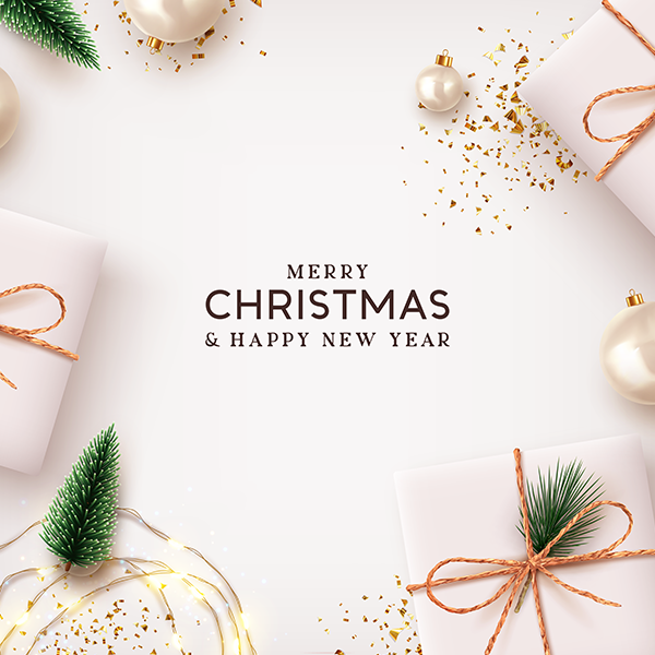 Frohe Weihnachten und einen guten Rutsch ins neue Jahr!